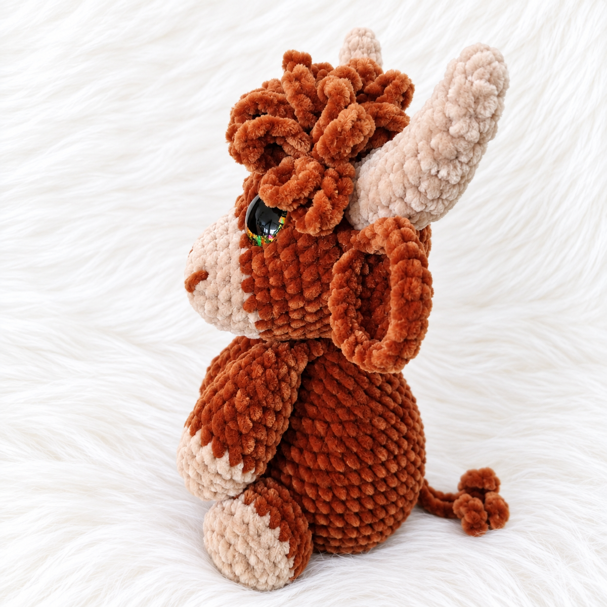Fred die Highland Cow
